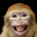 Hay Ky Profile Picture