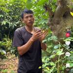 Dung Nguyễn Profile Picture