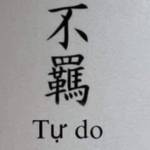 Dang Tran Profile Picture