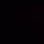 Tan Phan Profile Picture