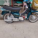 Lộc Trần Profile Picture