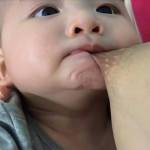 tieptanmaianh19 Profile Picture