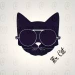 Digory Cuto Profile Picture