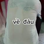 Vodieukien Profile Picture