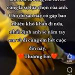 Minh Hoang Trần Profile Picture