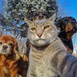 Phan Quan Profile Picture