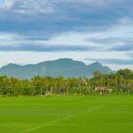 Nhat Ngo Profile Picture
