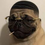 Nam Luu Profile Picture