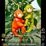Nguyen Le Profile Picture
