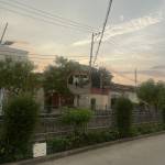Thanhtiennp123456 Profile Picture
