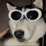 Fulin Profile Picture