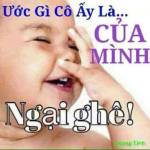 Hồng Phạm Profile Picture