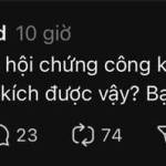 David King Profile Picture
