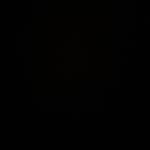 Trung Trung Profile Picture