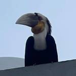TKERTk Profile Picture