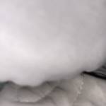Sy Nguyen Profile Picture