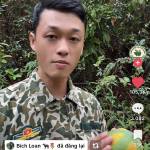 Phúc Phạm Profile Picture