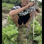 Huy Hoà Profile Picture