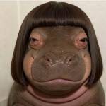 Hoang Lê Profile Picture