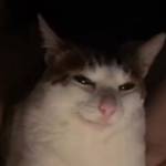 kevin hoang Profile Picture