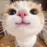Rau Râm Profile Picture