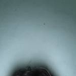 Thanhthanh2k3 Profile Picture