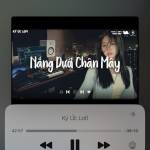 Phi Truong Profile Picture