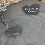 Bao Le Profile Picture