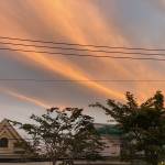 Vuong Nguyen Profile Picture