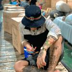 THUẬN DANH Profile Picture