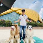 Thắng Lưu Profile Picture