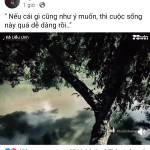 Khoa Nguyễn Profile Picture
