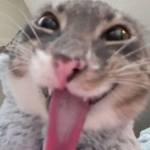 vũ hà Profile Picture