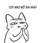 ah uy Profile Picture
