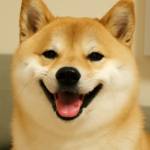 phat trần Profile Picture