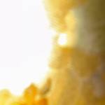 Dalatme Profile Picture