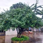 Tuấn Vũ Nguyễn Profile Picture