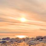 Quý Quốc Profile Picture