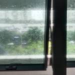 Hùng tuân La Profile Picture