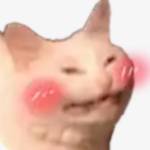 Anhyeuem Profile Picture