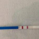 The Anh Profile Picture