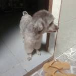 Nho Do Profile Picture