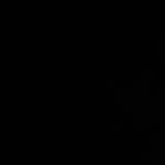 Sung Trần Profile Picture