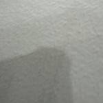 pop nguyễn Profile Picture