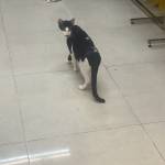 Ga Thjpien Profile Picture