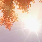 Phúc Nguyễn Profile Picture