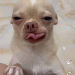 Thắng Nguyễn Profile Picture