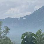 Thanh Hoài Profile Picture