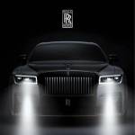 tung nguyễn Profile Picture