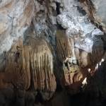 Lê Long Profile Picture